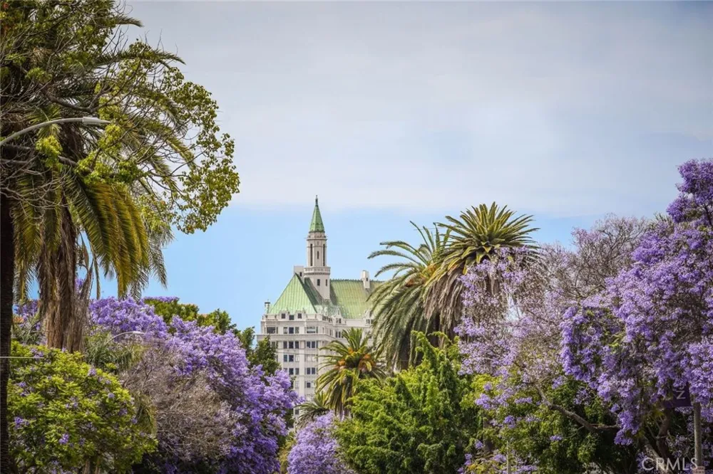 800 E Ocean #1203 Long Beach, CA 90802