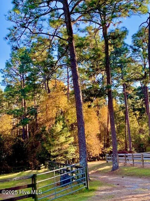 292 Bump A Long Lane Southern Pines, NC 28387