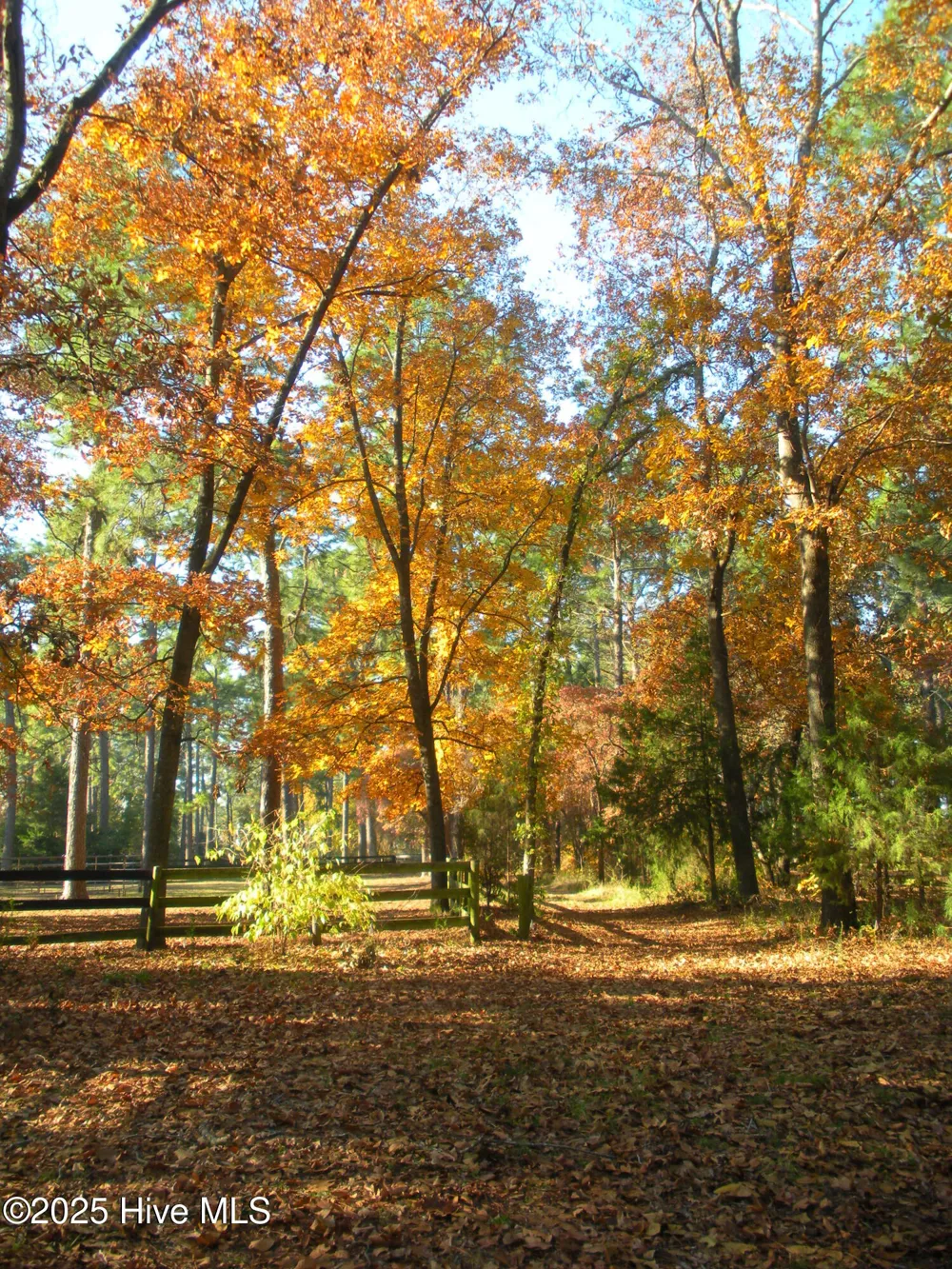292 Bump A Long Lane Southern Pines, NC 28387