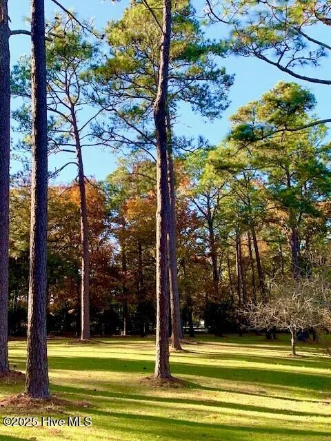 292 Bump A Long Lane Southern Pines, NC 28387