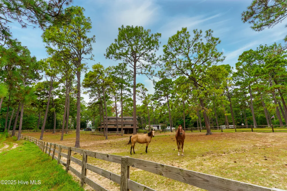 292 Bump A Long Lane Southern Pines, NC 28387