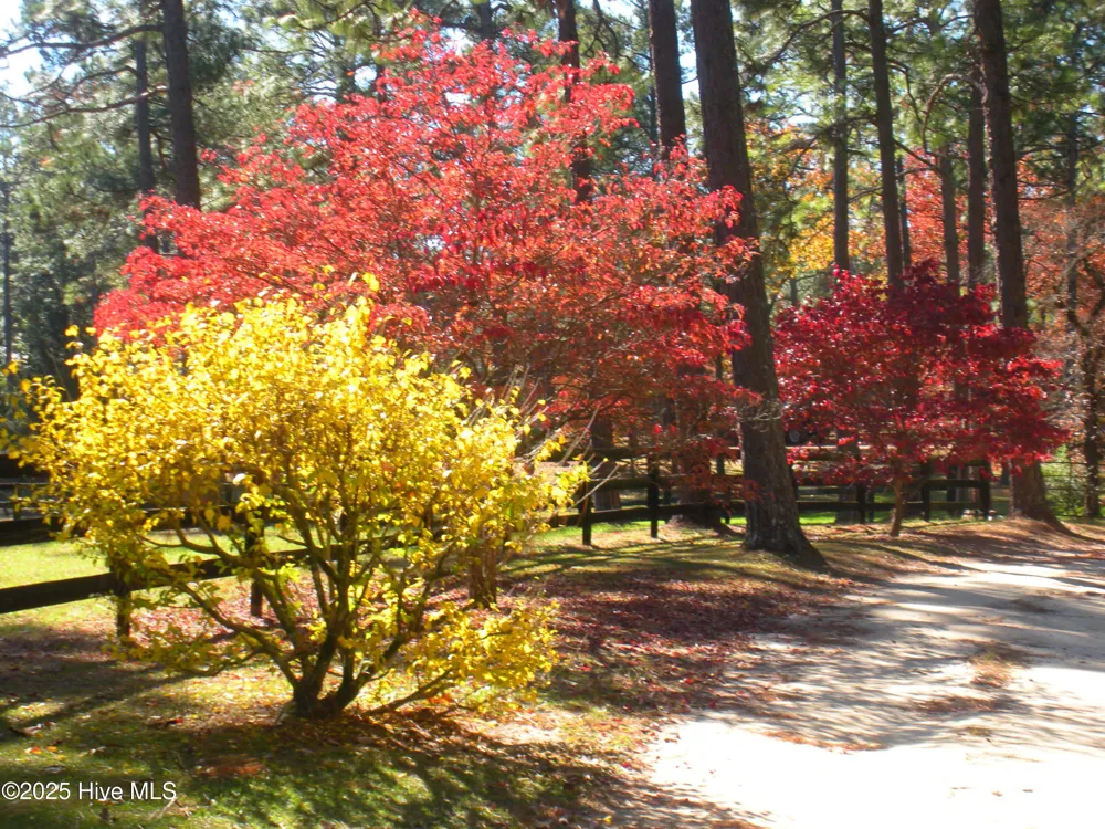 292 Bump A Long Lane Southern Pines, NC 28387