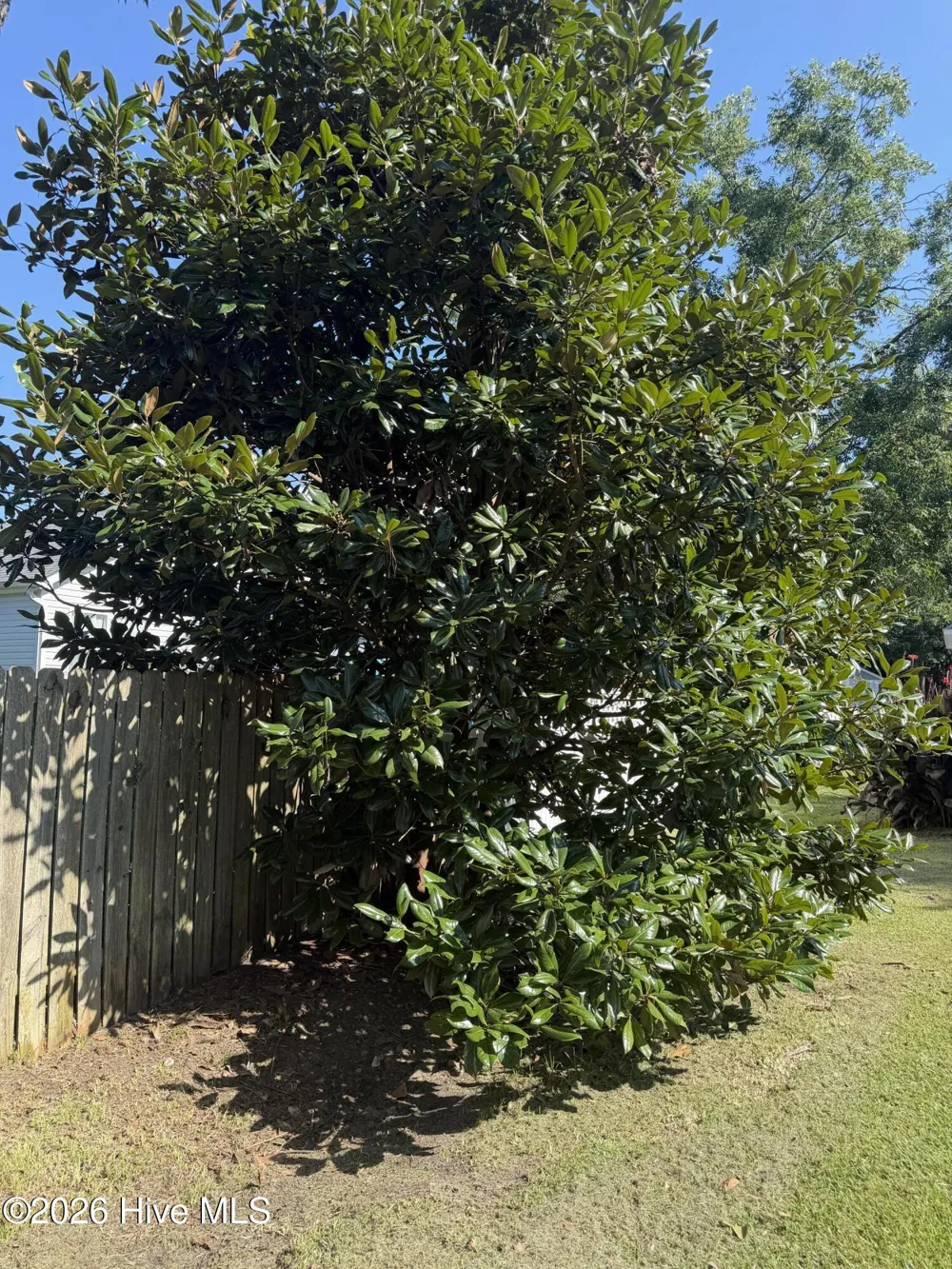 619 First Avenue Oriental, NC 28571