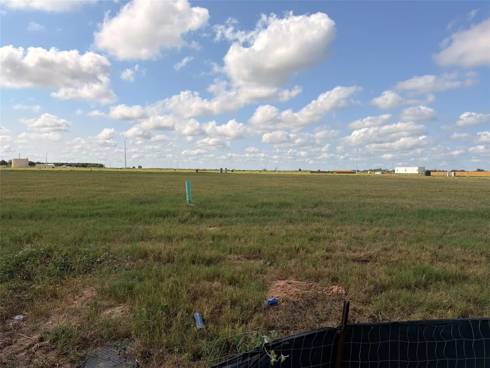3040 Mustang Grove Way Brookshire, TX 77423