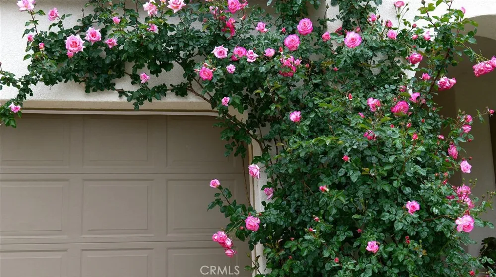 34298 Hourglass Temecula, CA 92592