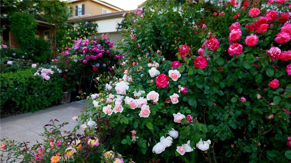 34298 Hourglass Temecula, CA 92592
