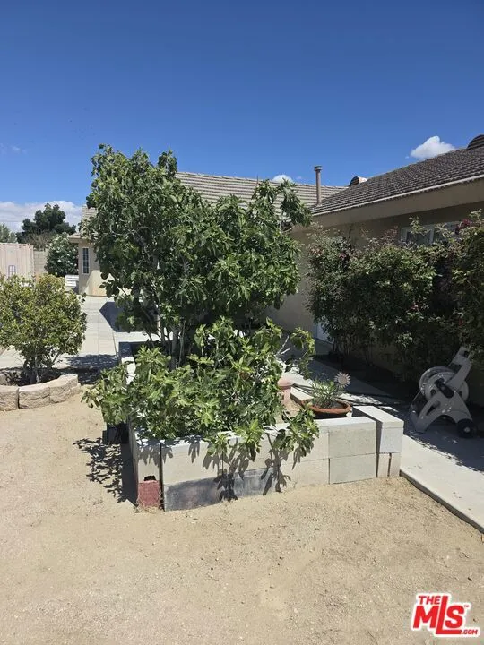 1168 Smoke Tree Road Pinon Hills, CA 92372