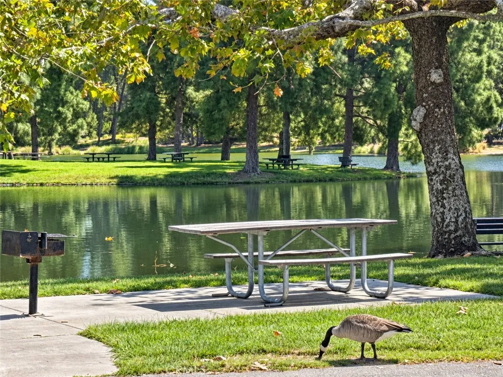 19701 Bluefield Plaza Yorba Linda, CA 92886