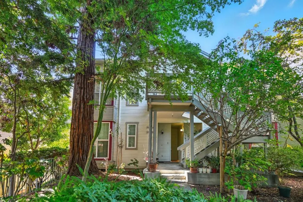 984 Belmont Terrace #10 Sunnyvale, CA 94086