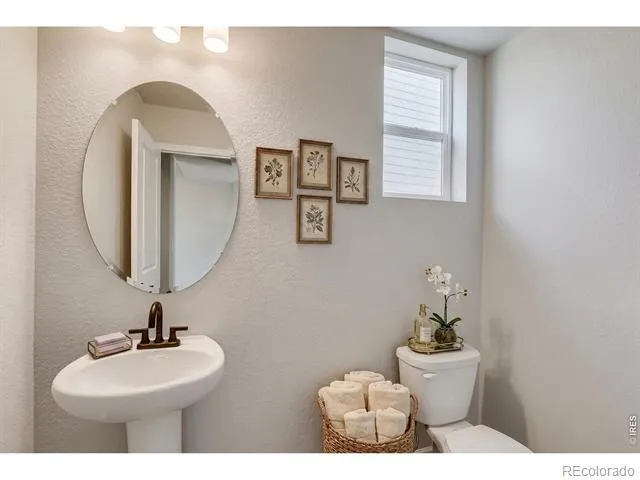 678 Noola Street Windsor, CO 80550