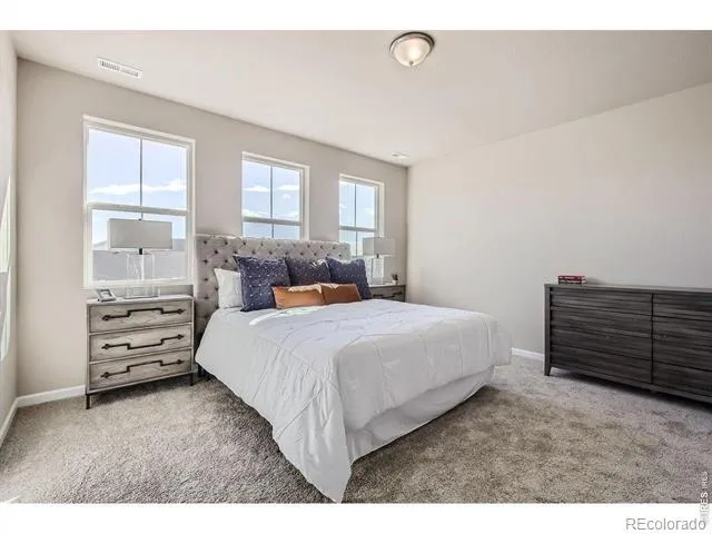 678 Noola Street Windsor, CO 80550
