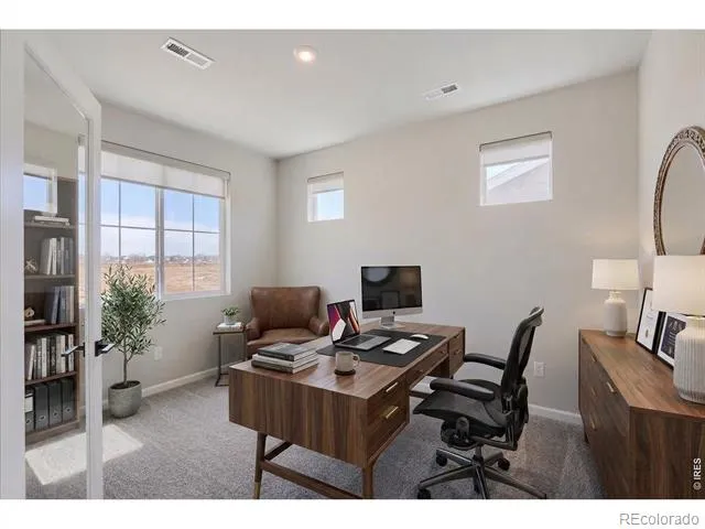 678 Noola Street Windsor, CO 80550
