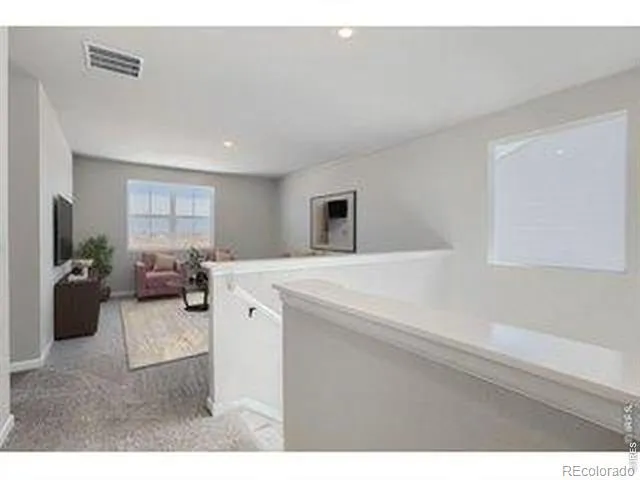 678 Noola Street Windsor, CO 80550