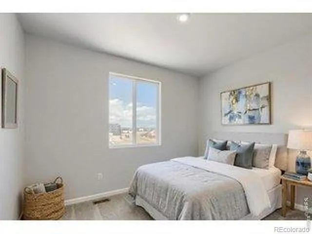 678 Noola Street Windsor, CO 80550