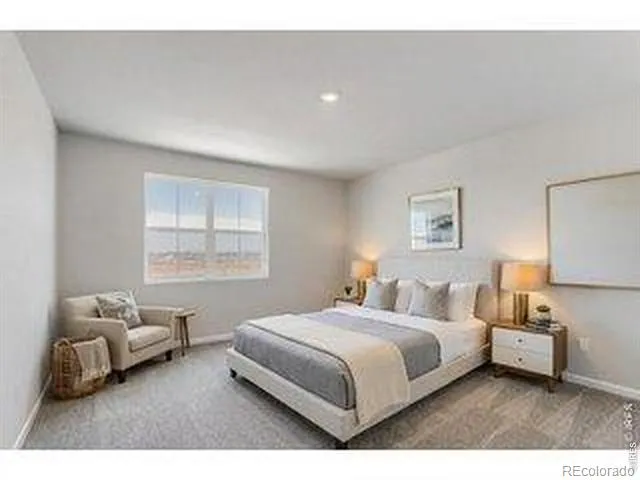 678 Noola Street Windsor, CO 80550