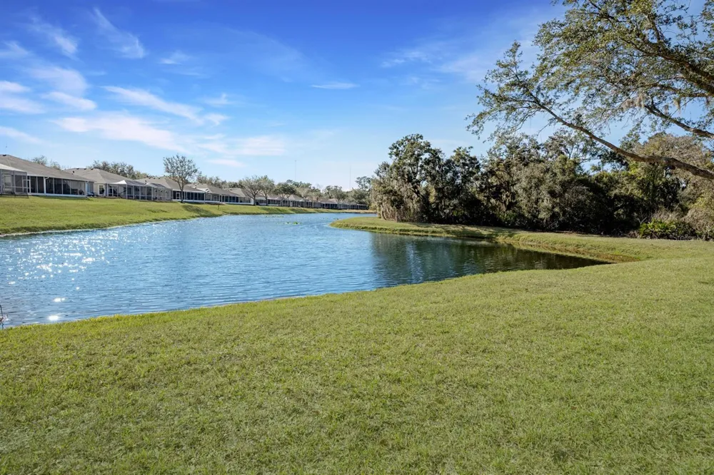 5911 PHOEBENEST DRIVE Lithia, FL 33547