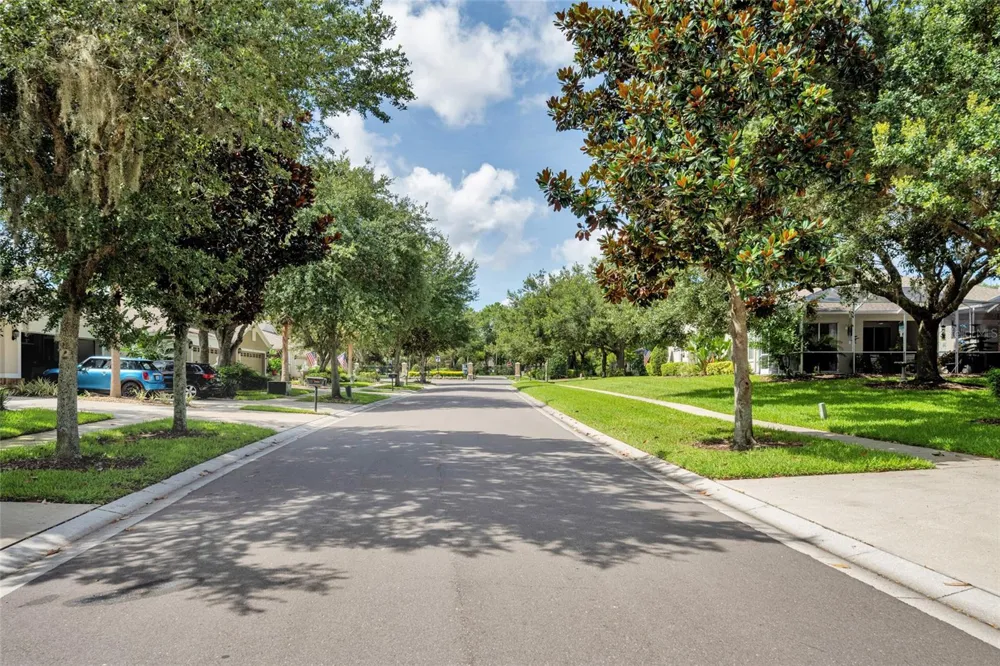 5911 PHOEBENEST DRIVE Lithia, FL 33547