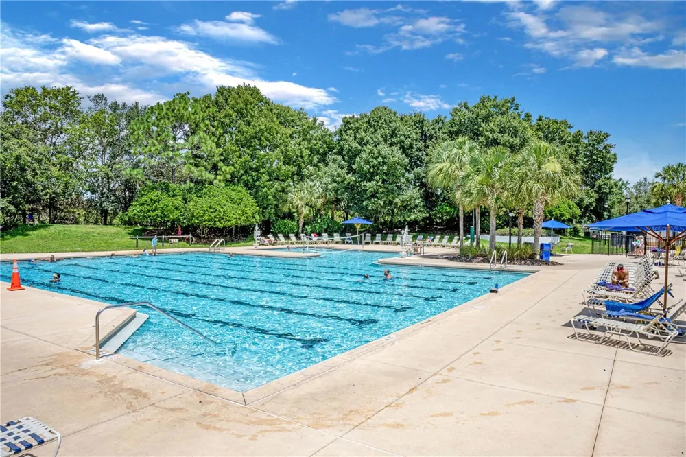 5911 PHOEBENEST DRIVE Lithia, FL 33547
