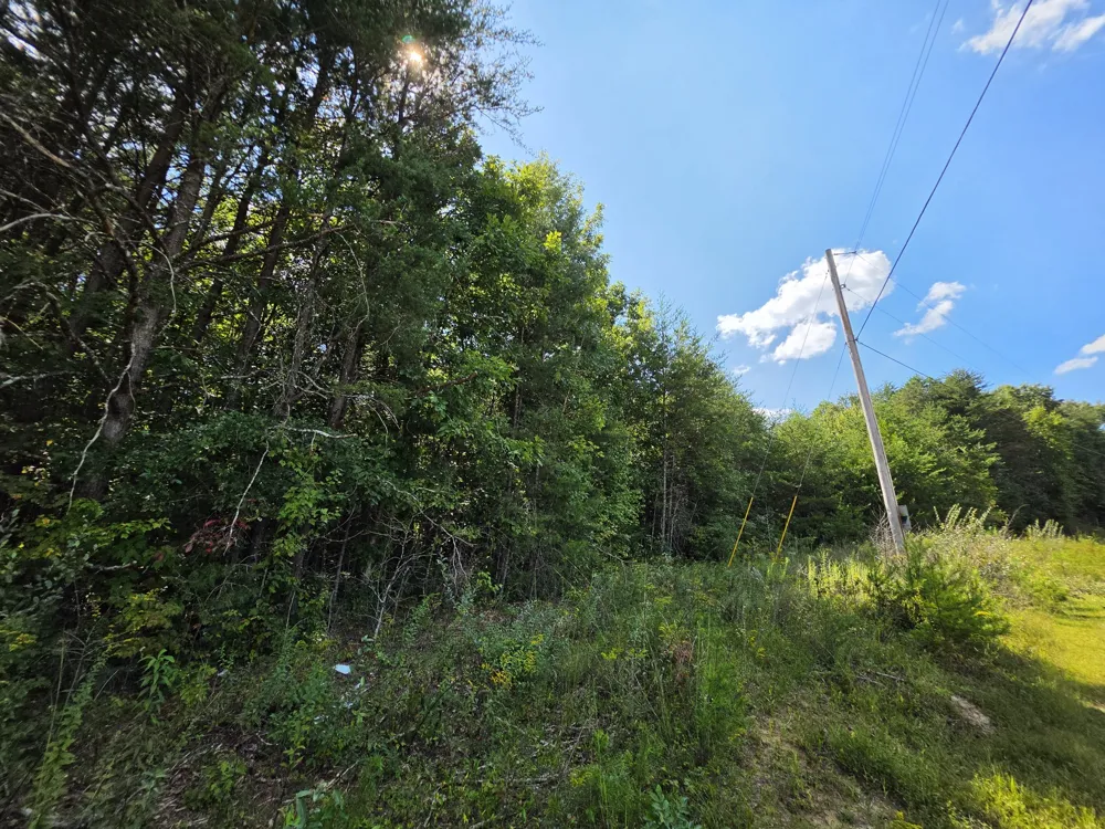 0 Northcutts Cove Road Beersheba Springs, TN 37305