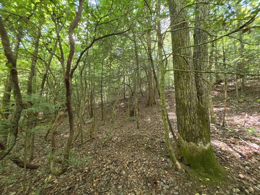 0 Northcutts Cove Road Beersheba Springs, TN 37305