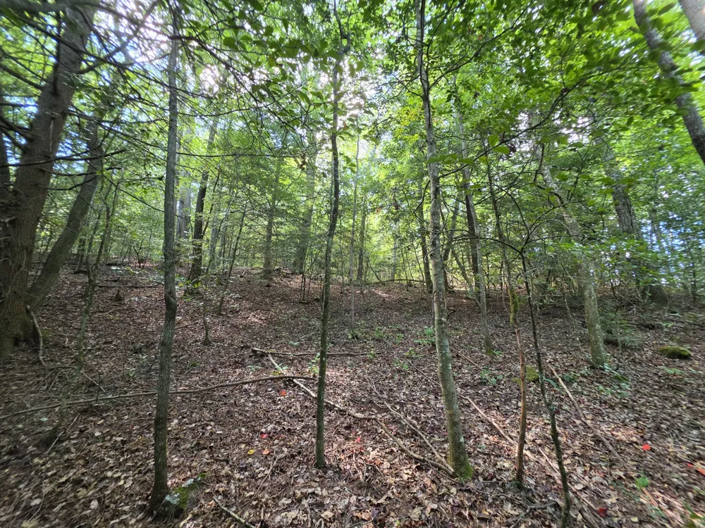 0 Northcutts Cove Road Beersheba Springs, TN 37305