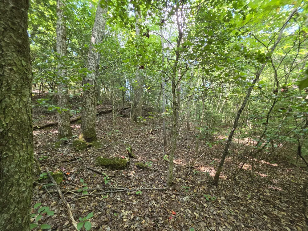 0 Northcutts Cove Road Beersheba Springs, TN 37305