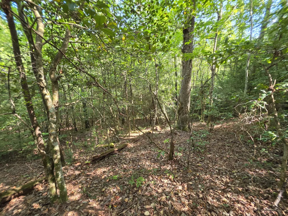 0 Northcutts Cove Road Beersheba Springs, TN 37305