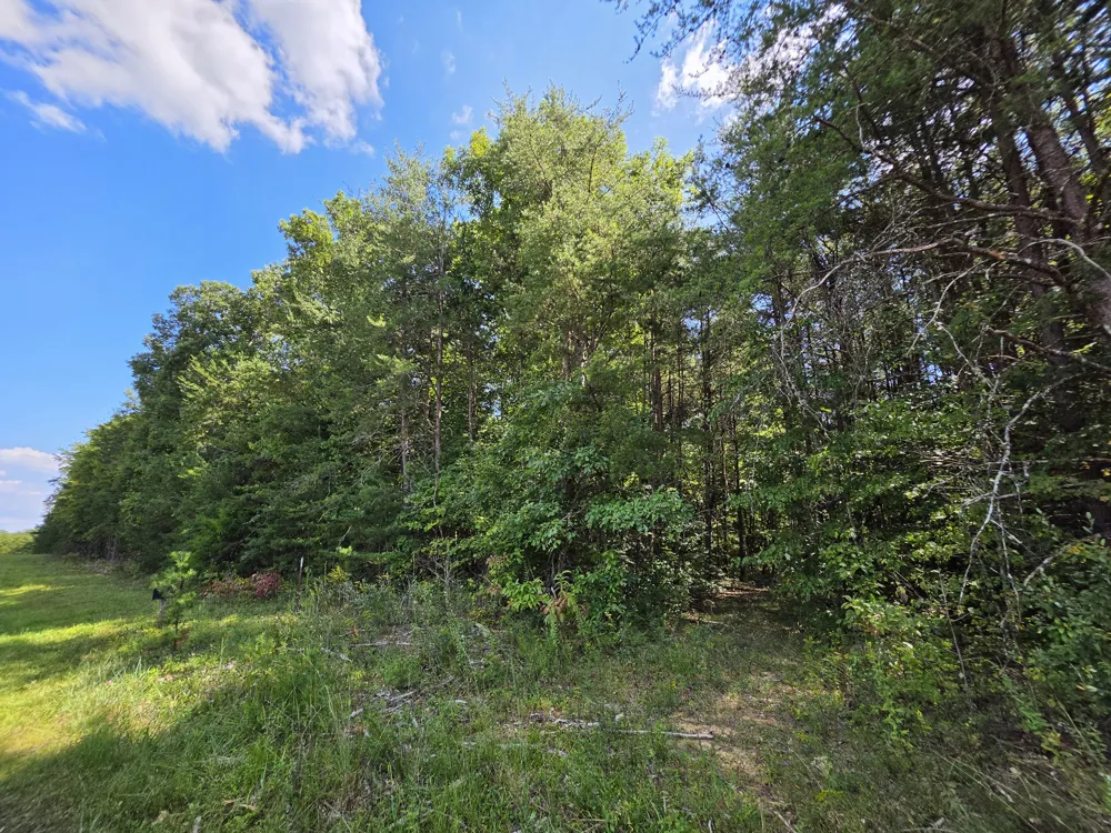0 Northcutts Cove Road Beersheba Springs, TN 37305