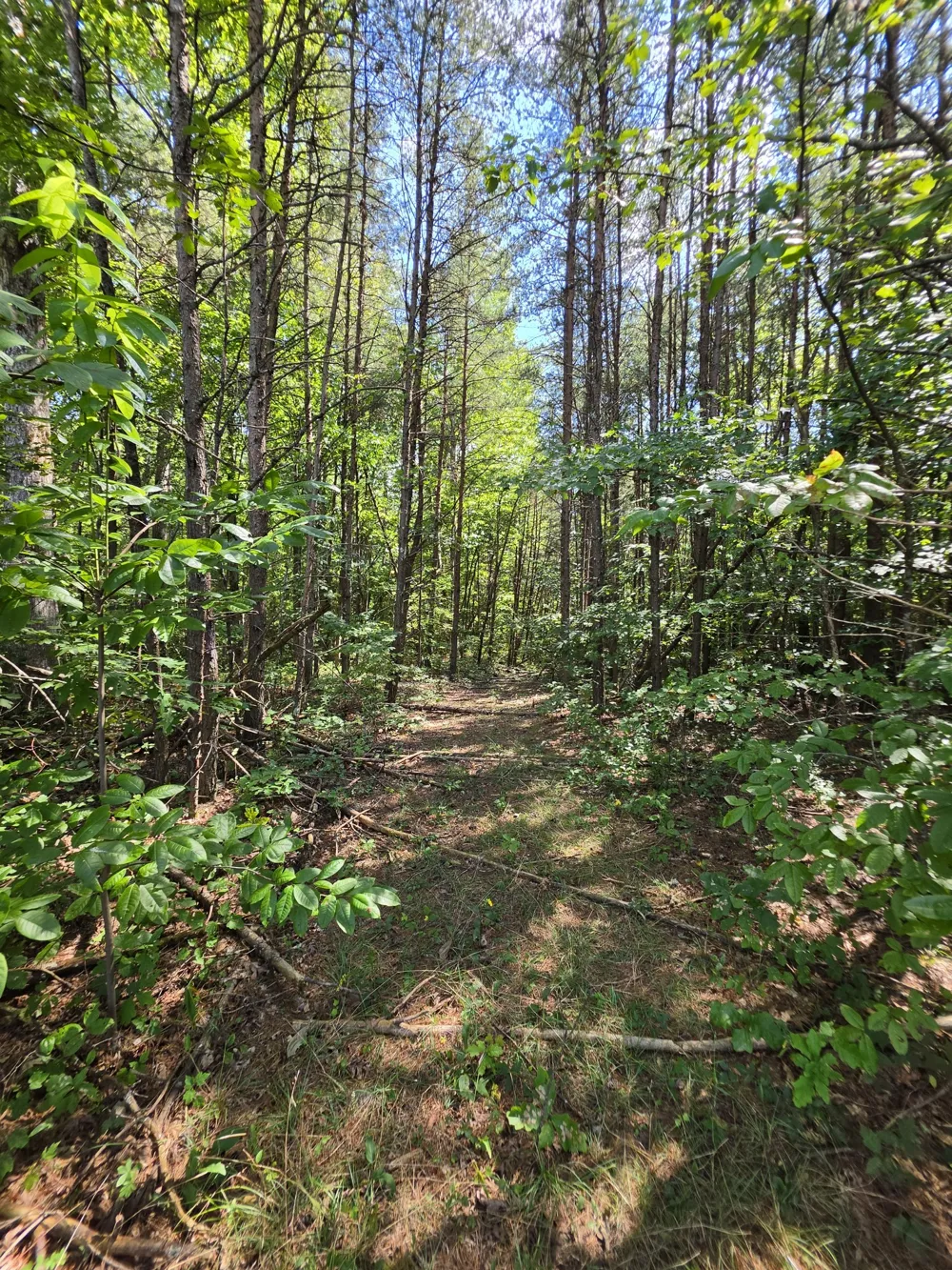 0 Northcutts Cove Road Beersheba Springs, TN 37305