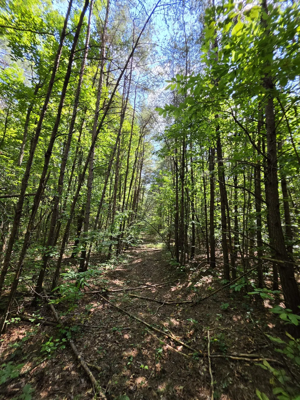 0 Northcutts Cove Road Beersheba Springs, TN 37305