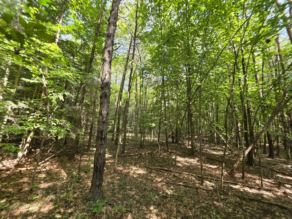0 Northcutts Cove Road Beersheba Springs, TN 37305