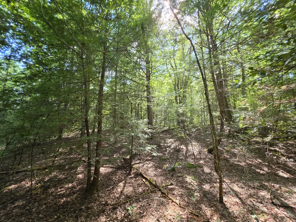 0 Northcutts Cove Road Beersheba Springs, TN 37305