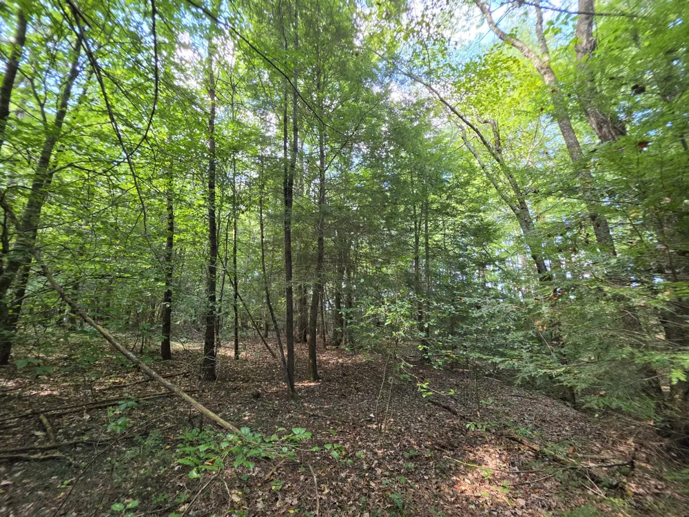 0 Northcutts Cove Road Beersheba Springs, TN 37305