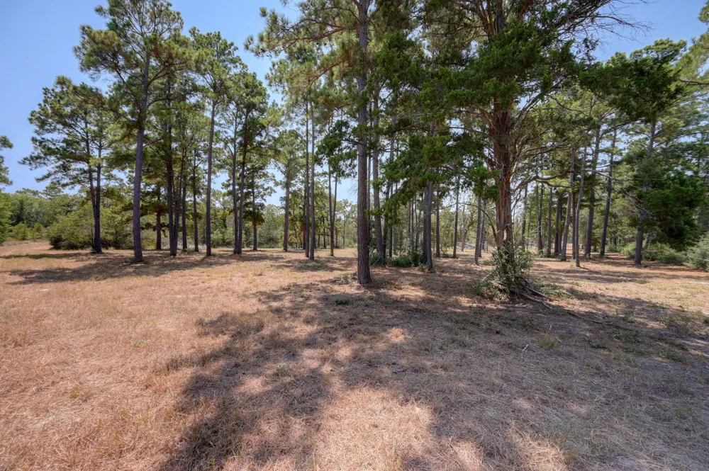 7604 US Highway 77 Highway La Grange, TX 78945