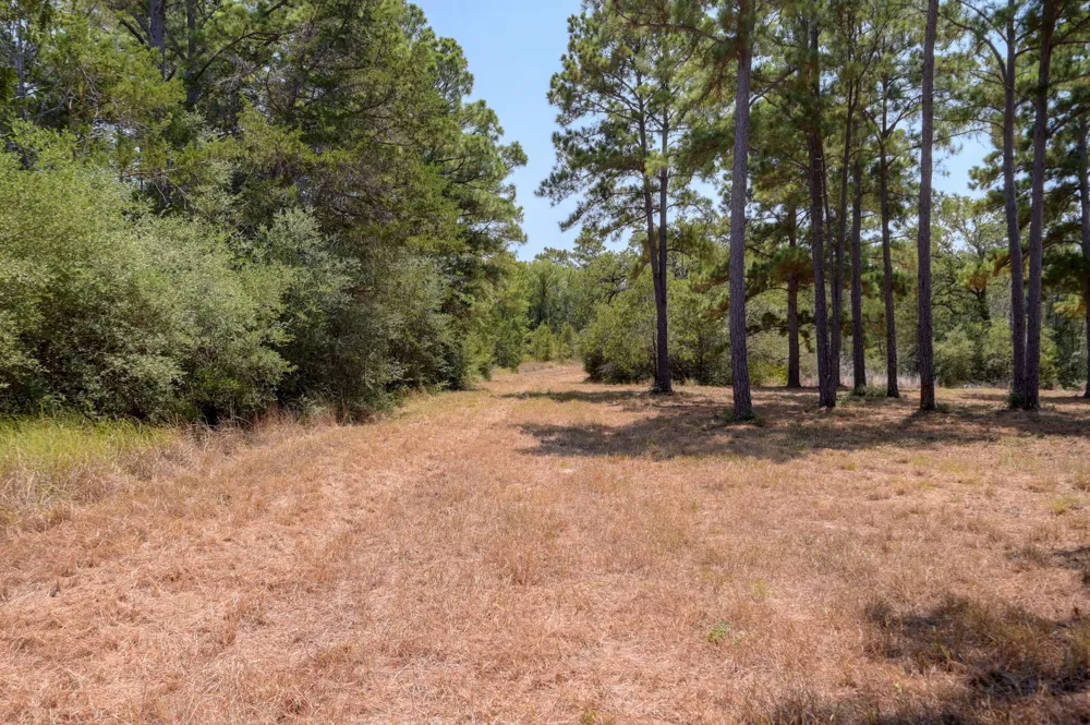 7604 US Highway 77 Highway La Grange, TX 78945