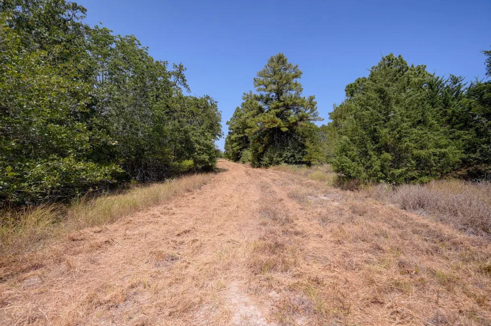 7604 US Highway 77 Highway La Grange, TX 78945