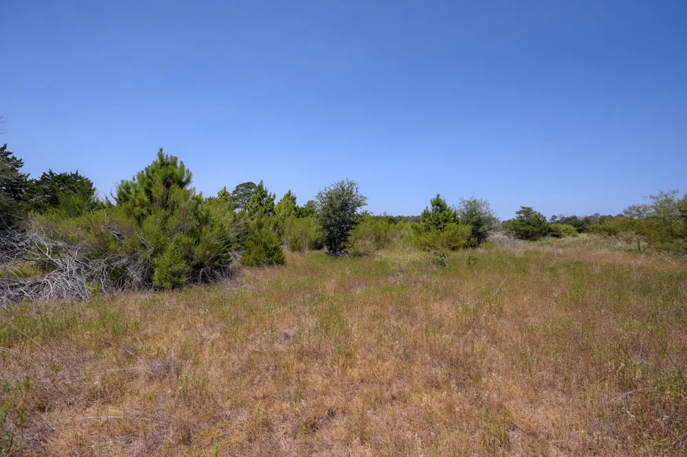 7604 US Highway 77 Highway La Grange, TX 78945