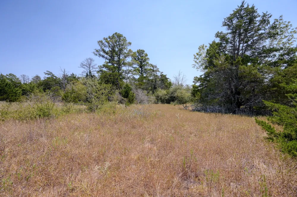 7604 US Highway 77 Highway La Grange, TX 78945