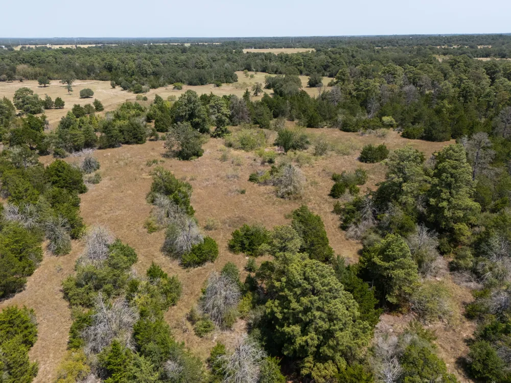 7604 US Highway 77 Highway La Grange, TX 78945