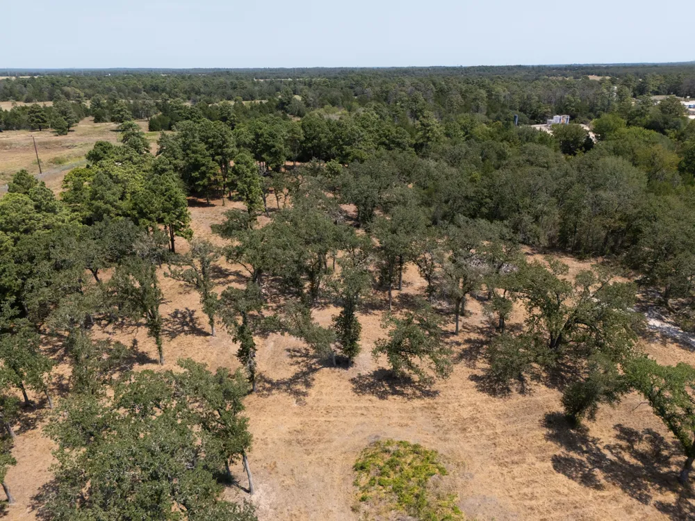 7604 US Highway 77 Highway La Grange, TX 78945