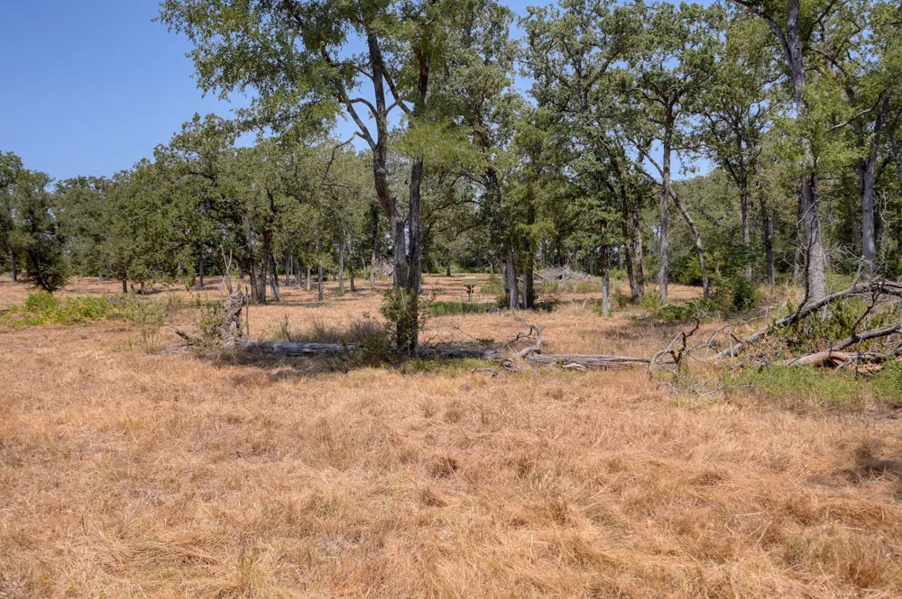 7604 US Highway 77 Highway La Grange, TX 78945