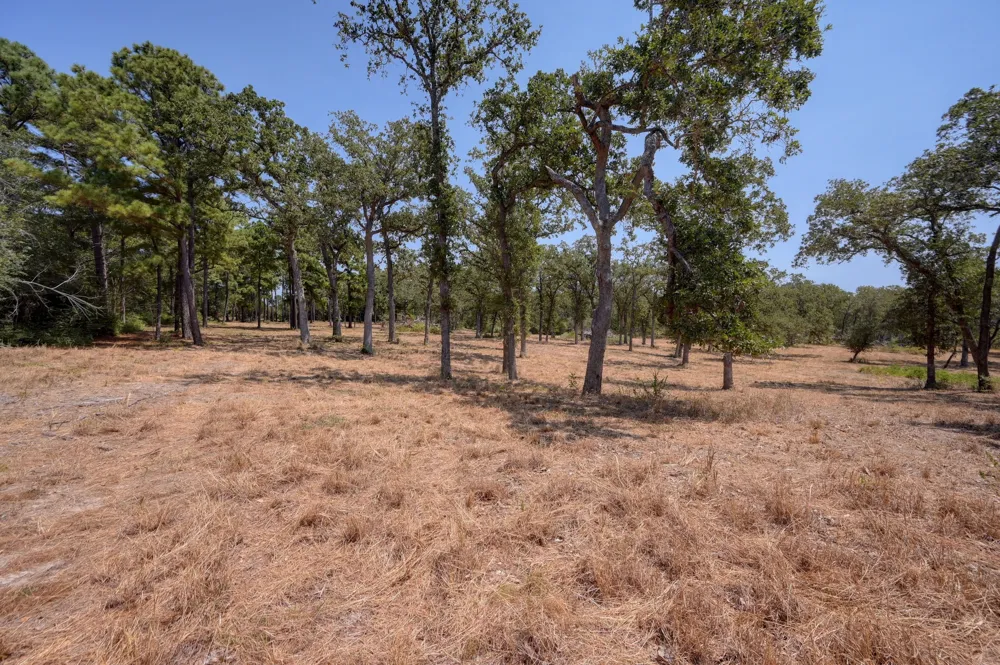 7604 US Highway 77 Highway La Grange, TX 78945