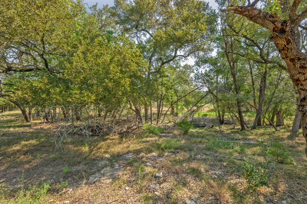 200 Buckskin Pass Driftwood, TX 78619