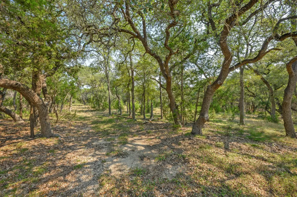 200 Buckskin Pass Driftwood, TX 78619