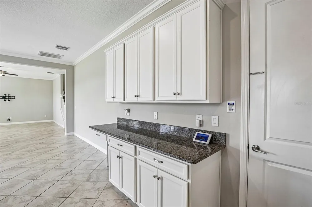 11516 SUNBURST MARBLE ROAD Riverview, FL 33579