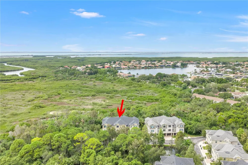 9715 BAY GROVE LANE Tampa, FL 33615