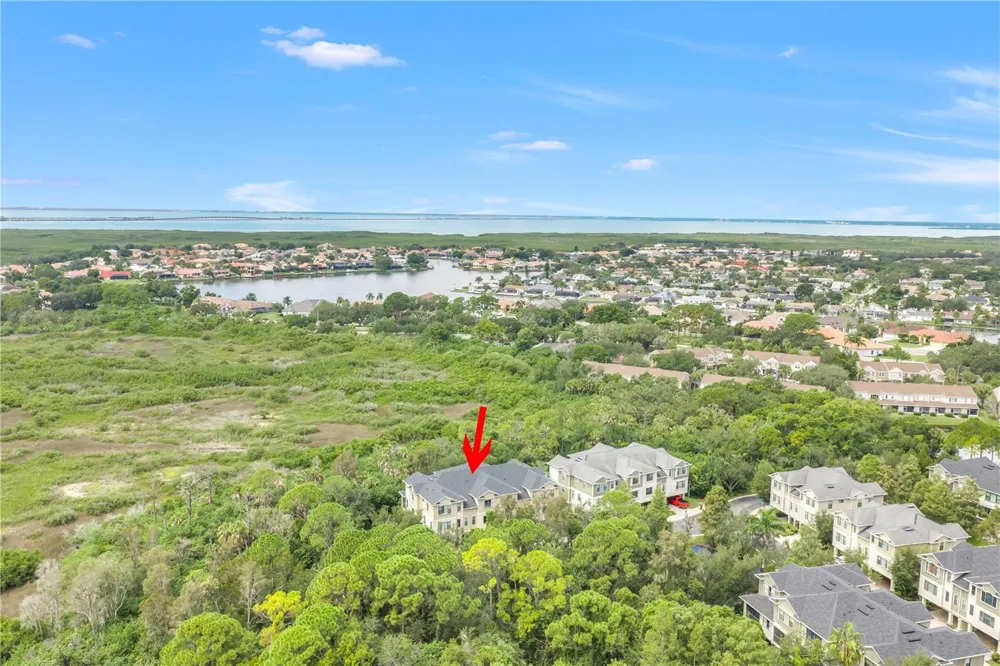 9715 BAY GROVE LANE Tampa, FL 33615
