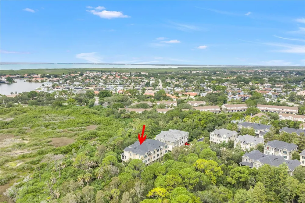 9715 BAY GROVE LANE Tampa, FL 33615
