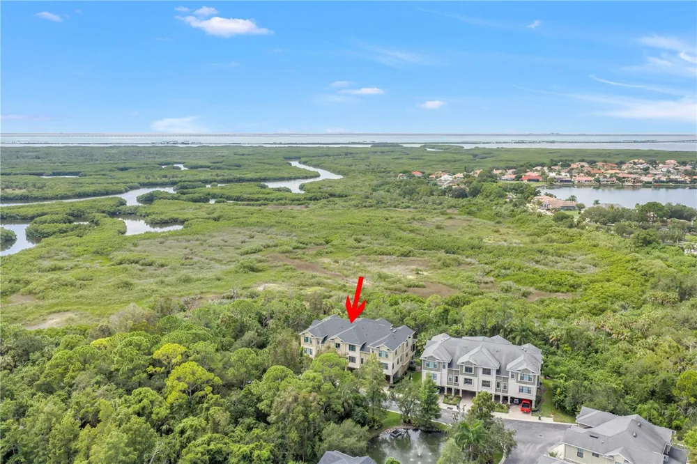 9715 BAY GROVE LANE Tampa, FL 33615
