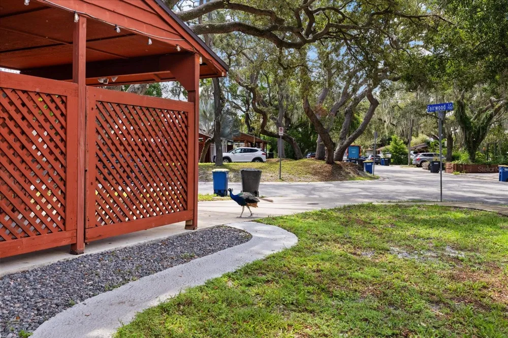 803 FAIRWOOD LANE Clearwater, FL 33759